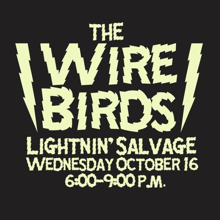 2024-10-16-lightnin-salvage-the-wire-birds