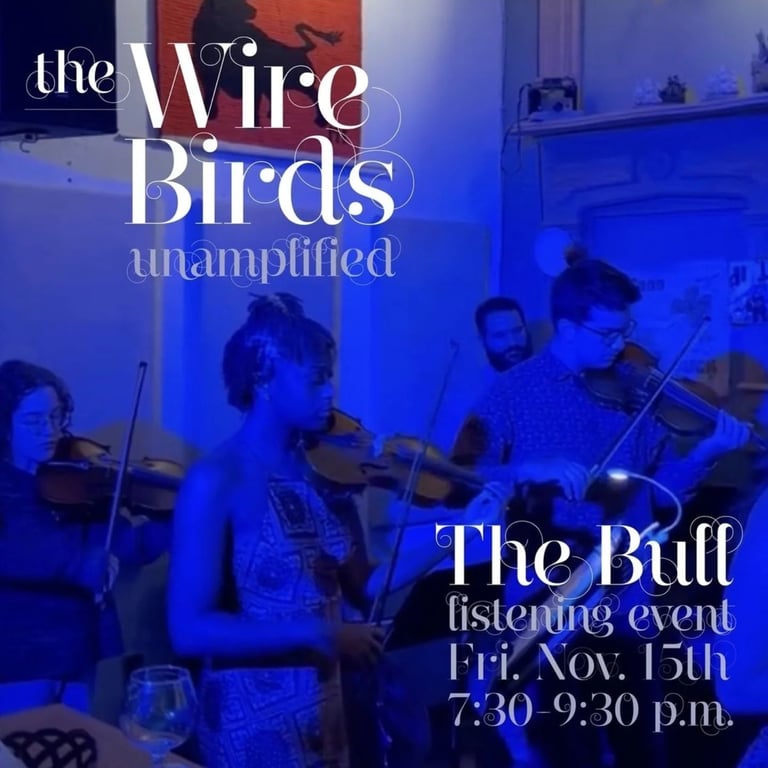 2024-11-15-the-bull-the-wire-birds