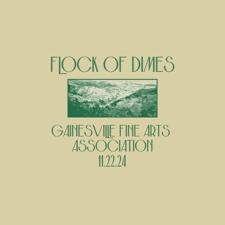 2024-11-22-gainesville-fine-arts-association-flock-of-dimes